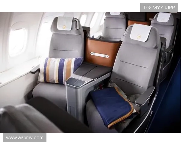 飞机客舱座椅的防腐蚀骨架